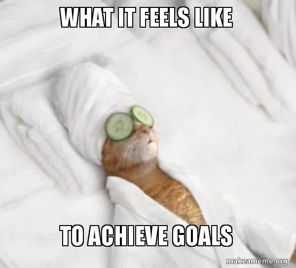 what_it_feels_like_to_achieve_goals